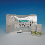 image of Antifade Reagent: Fluoro-KEEPER, Non-hardening Type