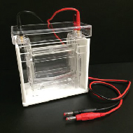 image of WEP-MN Vertical Electrophoresis Cell