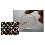 image of EZSPHERE™ for 3D cell culture with microwells