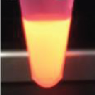 image of Fluorescent beads with magnetic or non-magnetic particles