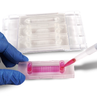 image of CellGem®: Single cell capture and culture slide