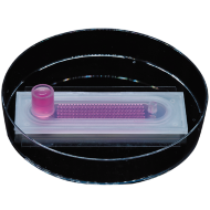 image of CellHD-256: 3D Hanging Drop Spheroid Cell Culture Chip