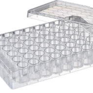 image of Cell Culture Plates