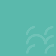 image of Low-Endotoxin Sodium Alginate