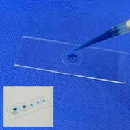 image of PDMS O ring