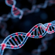 image of TurboLigase