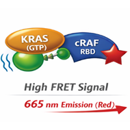 image of TR-FRET KRAS Assays