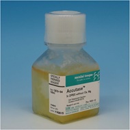 image of Accutase&trade;