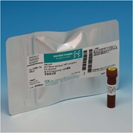 image of HRP-conjugated Secondary Antibodies