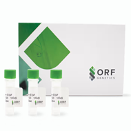 image of ISOkine - Plant-based Growth Factors & Cytokines