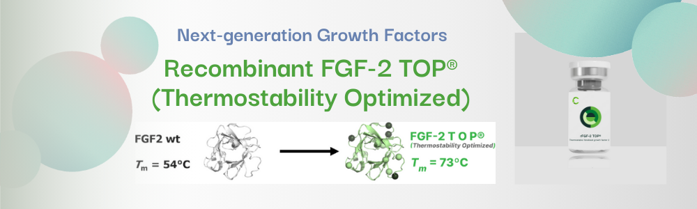 FGF2-TOP
