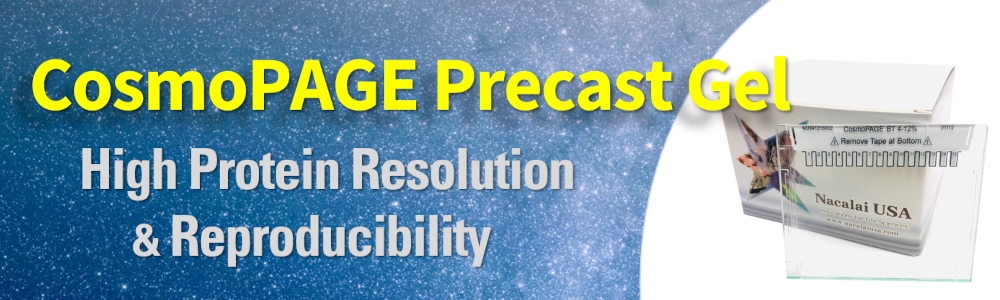 CosmpPAGE Precast Gel