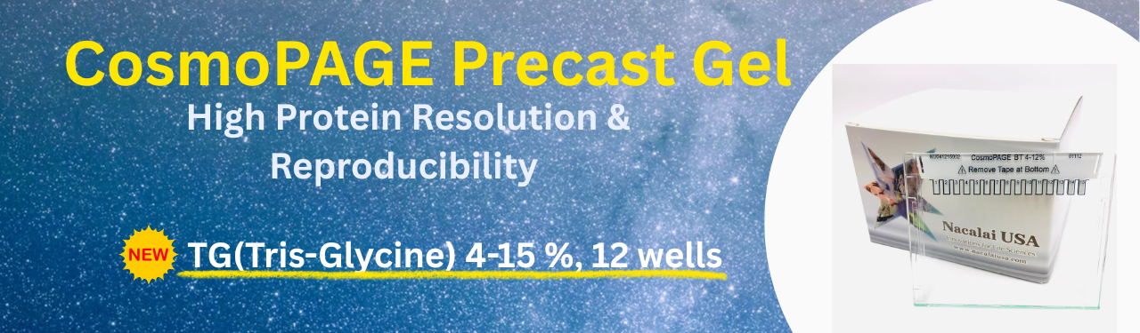CosmoPAGE Precast Gel New 12 Well