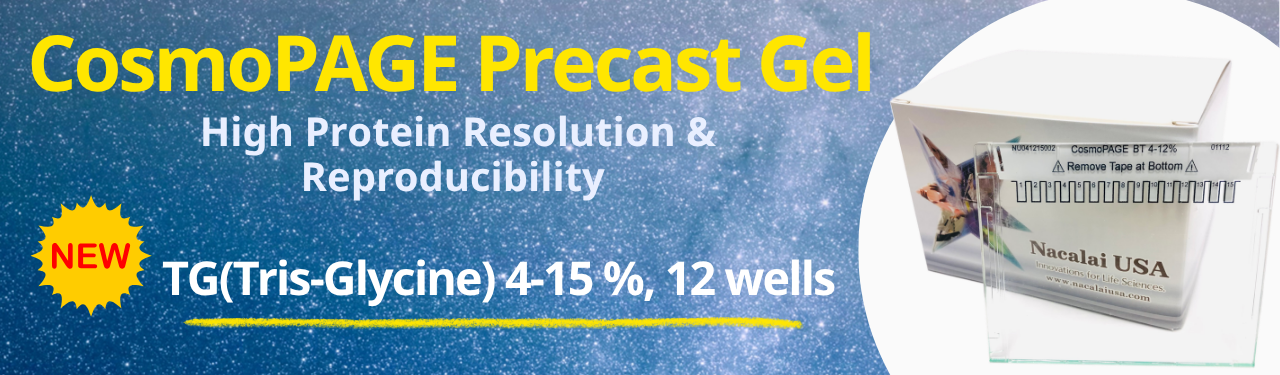 CosmoPAGE Precast Gel New 12 Well
