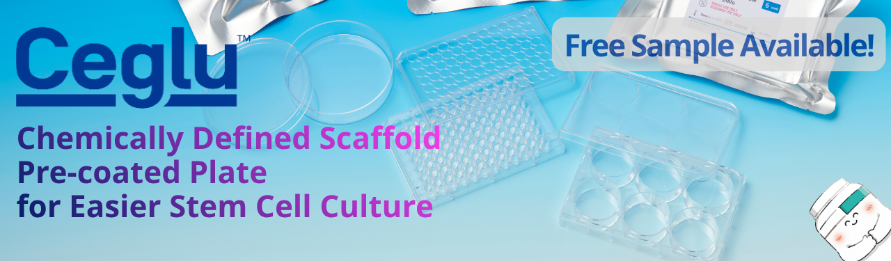 Ceglu™ Pre-coated Plate for Easier Stem Cell Culture