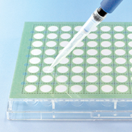 Filter Seals and Plates