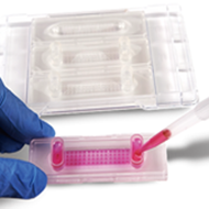 Microfluidic Device