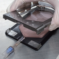 Spheroid Culture Tool