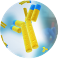 Epitope-Tag Antibody