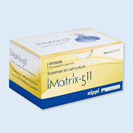 Extracellular Matrix (ECM)