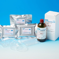 Ceglu: Chemically-Defined matrix / scaffold