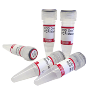 PCR & qPCR