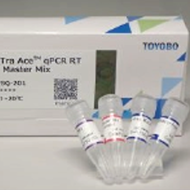 Reverse Transcription & RT-PCR