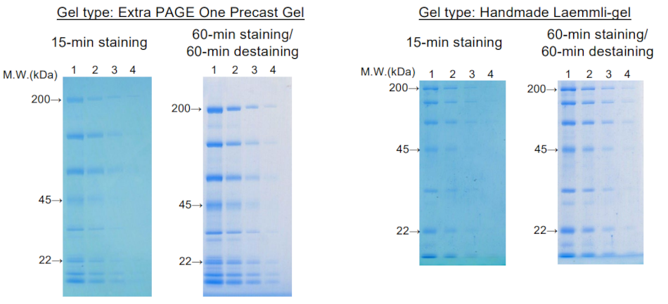 Comparison of stained images - CosmoPAGE Bullet CBB