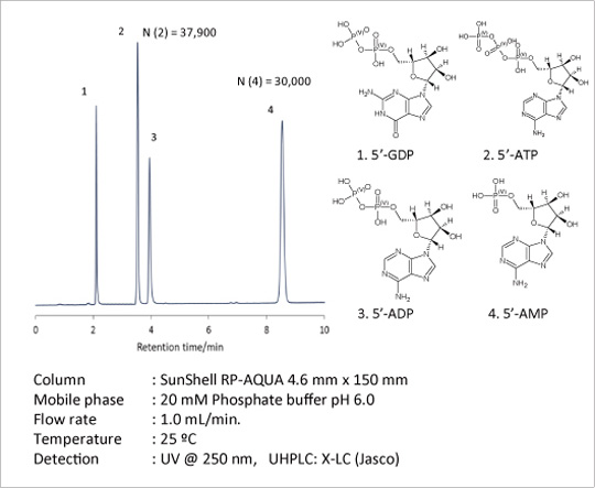 Column	: SunShell RP-AQUA 4.6 mm x 150 mm
Mobile phase	: 20 mM Phosphate buffer pH 6.0
Flow rate	: 1.0 mL/min.
Temperature	: 25 °C
Detection	: UV @ 250 nm,   UHPLC: X-LC (Jasco)
5'-GDP, 5'-ATP, 5'-ADP, 5'-AMP