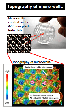 Nested Microwells Nacalai USA, Inc. | Product | EZSPHERE™ for 3D cell culture with microwells
