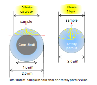 Diffusion of  sample in core shell and totally porous silica