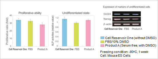 Freezing condition: -80°C, 1 week, Cell: Mouse ES Cells